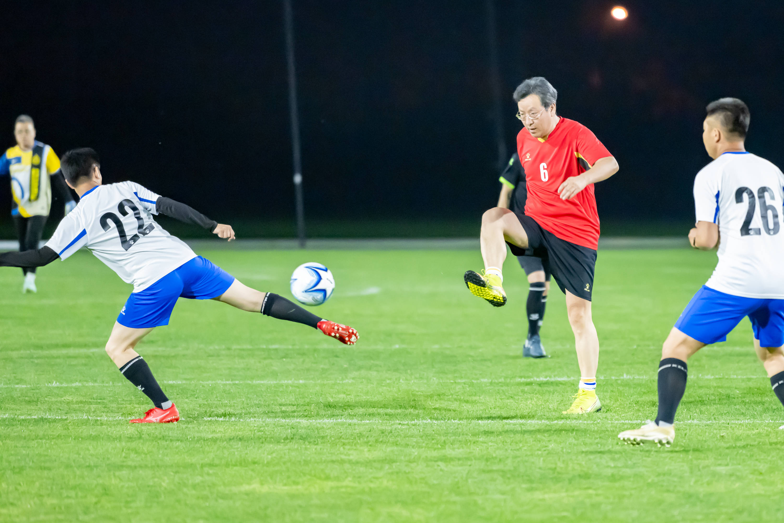 大利亚高尔 大利亚高尔